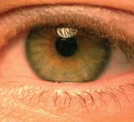 eye eye close up