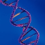 double helix