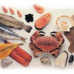 seafood