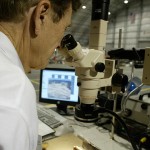 person using microscope
