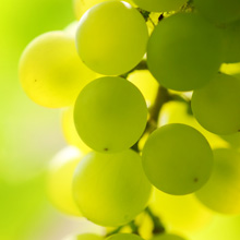 grapes have anti-oxidant effects on the eyes