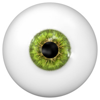 eye