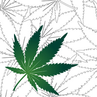 medical marijauna