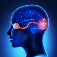 optic nerve - neuritis