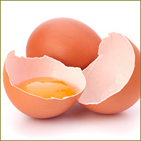 egg yolk