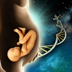 gene editing fetus