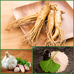 garlic ginseng ginkgo