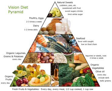 Vision Diet Pyramid