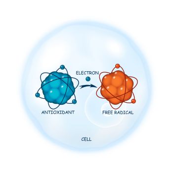 antioxidant-free radicals-electrons