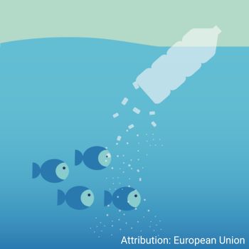 Microplastic pollution in the ocean