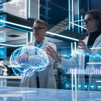 Scientists examine a brain model. Research into neurogenesis regrows brain