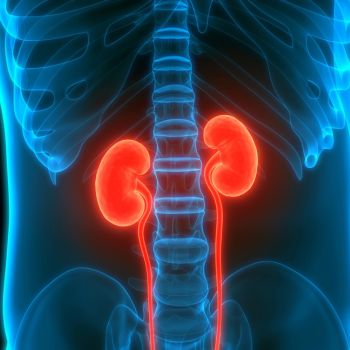 Kidneys may be link to Dementia and Vision